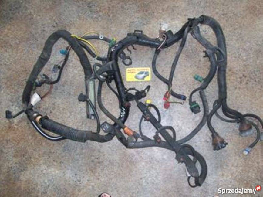 WĘŻE WĄŻ EVASION ULYSSE C8 806 EXPERT SCUDO ZETA osobowe Krosno