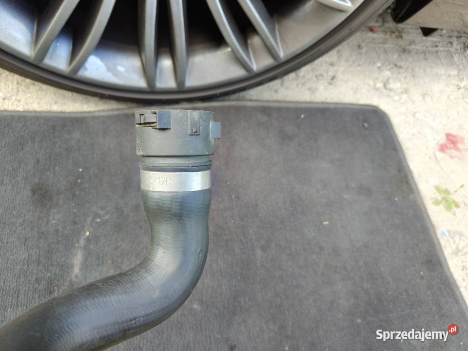 Bmw e36 Z3 wąż wody chłodnicy dolny 19 m43 Węże chłodnicy Aleksandrów Łódzki