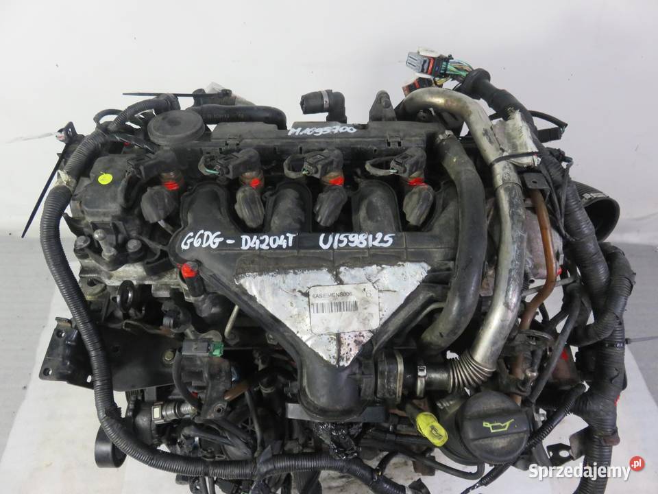 SILNIK FORD KUGA I 20 TDCi G6DG D4204T 136