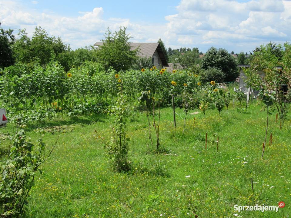Działka rolnobudowlana kKrakowa Zabierzów