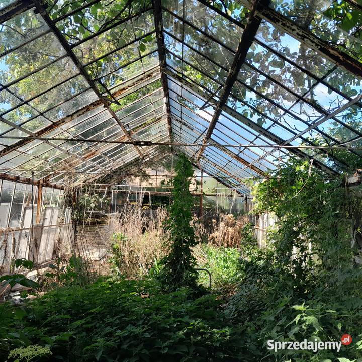Szklarnia 6m x 15m mazowieckie Gostynin