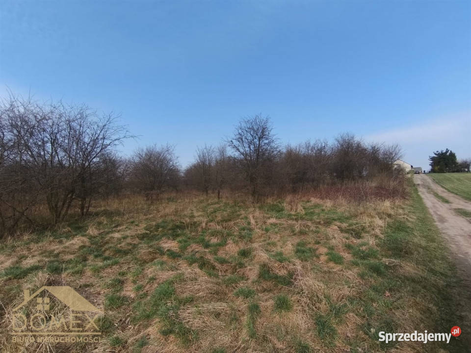 sprzedaży działki Czernica 7500m2 śląskie