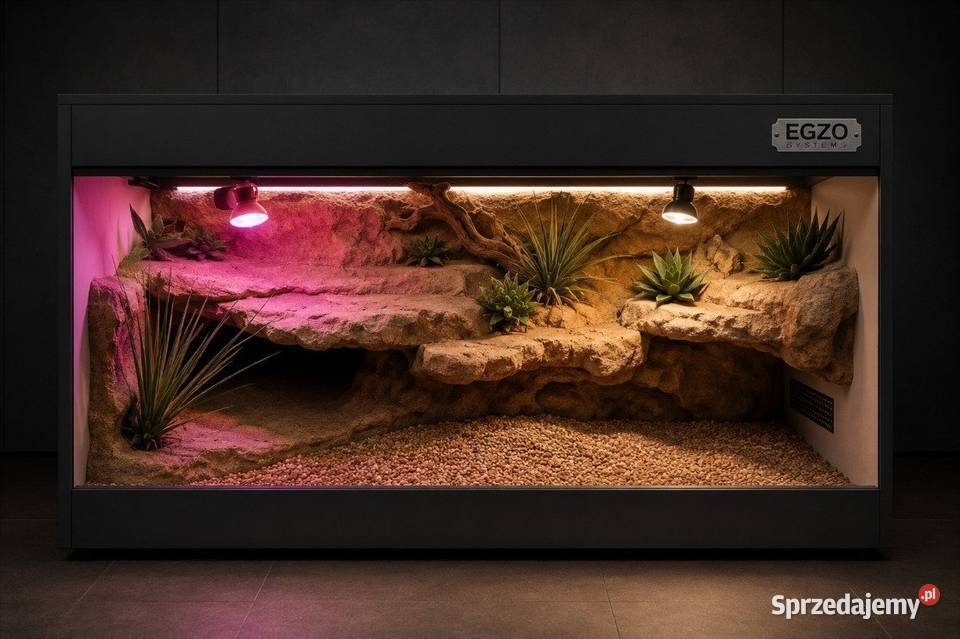 Terrarium hodowlane żółwia greckiego agamy Przemyśl