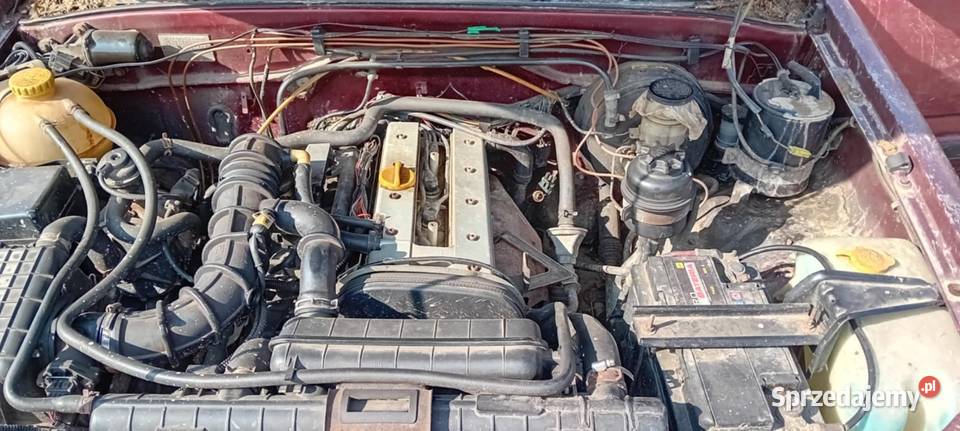 Opel Frontera Frontera podkarpackie Sulistrowa