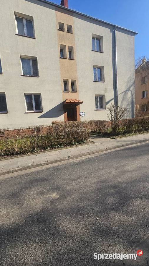 Mieszkanie 355m Parter Płock