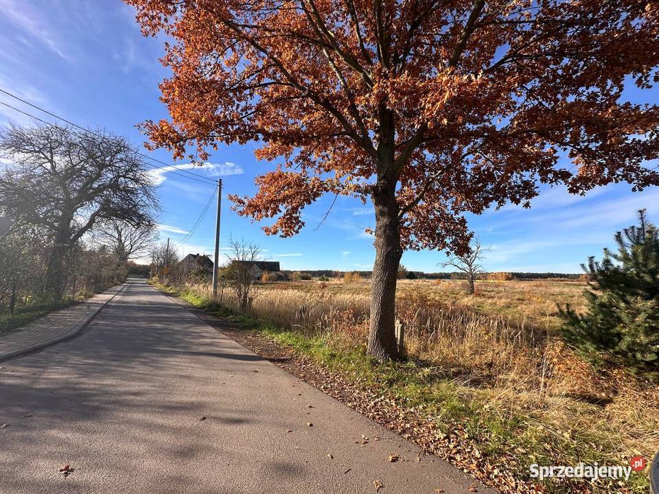 Działka budowlana drodze asfaltowej lubuskie Chudzowice sprzedam