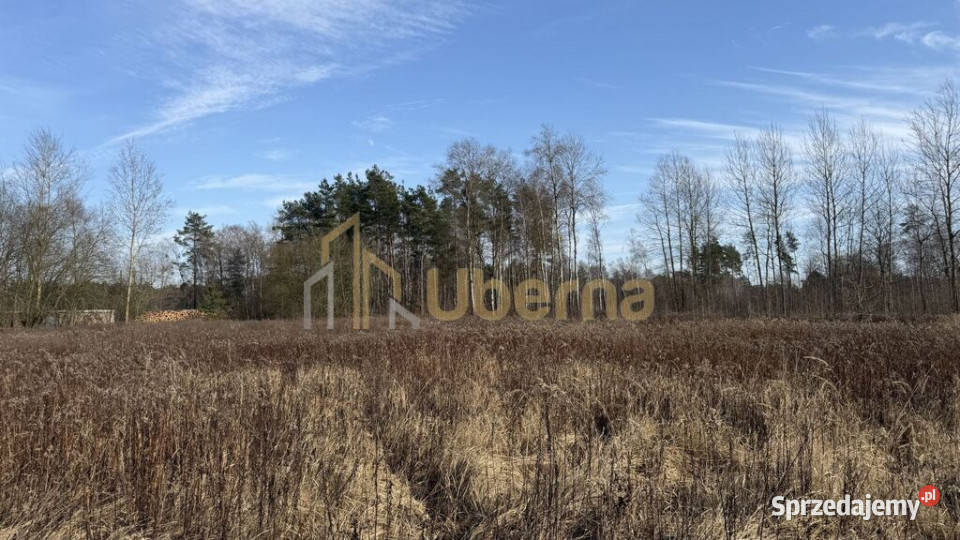 Działka 1552 m2 Żółwia Błoć 4491 m2 Sprzedaż zachodniopomorskie