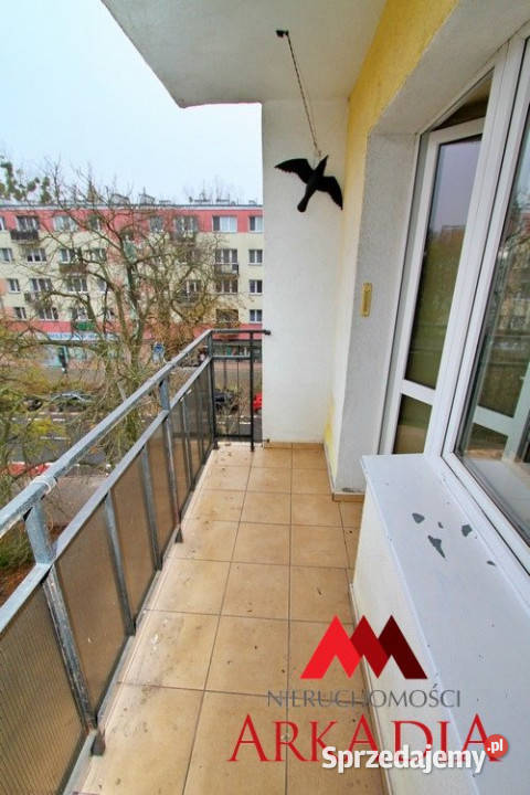 Mieszkanie Włocławek 3678m2 2 pokoje Sprzedaż Sprzedaż kujawsko-pomorskie