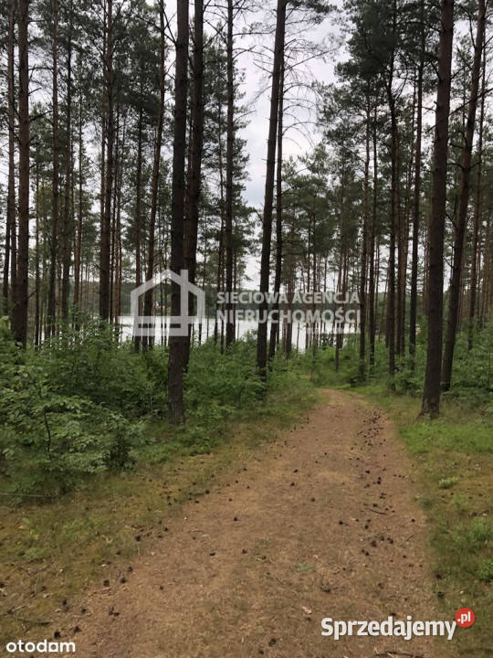 sprzedaży gruntu Niesiołowice 1500m2 1500m2 pomorskie