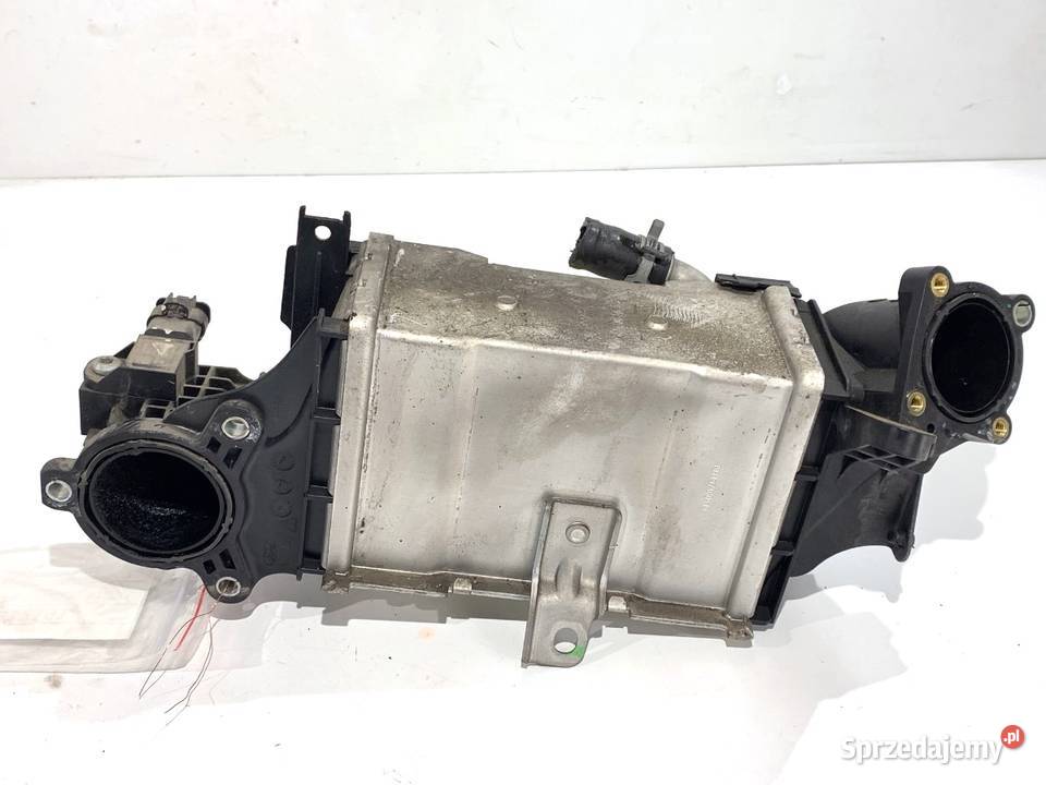 INTERCOOLER FORD FOCUS IV JN1Q6C896AC 15 120 Chłodnice powietrza (intercoolery)