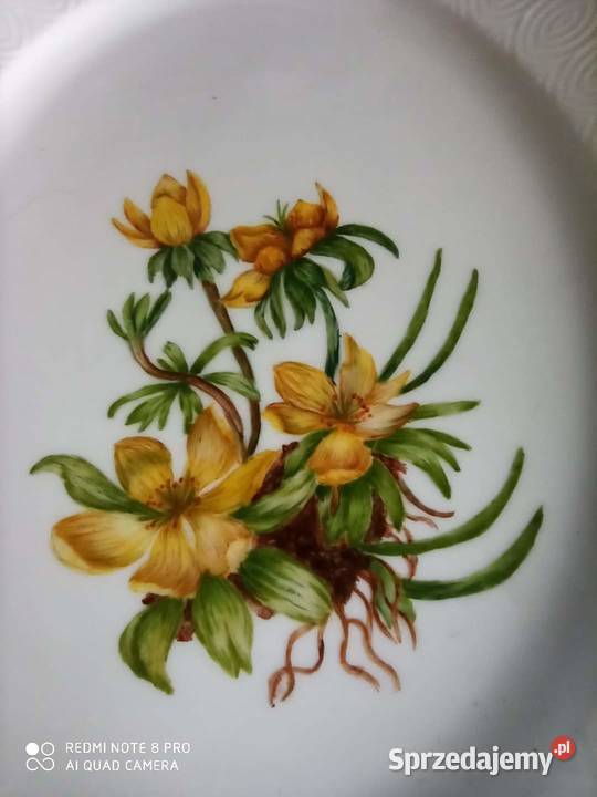 Półmisek Royal Copenhagen Made in Denmark Biała Porcelana i szkło Gdańsk sprzedam