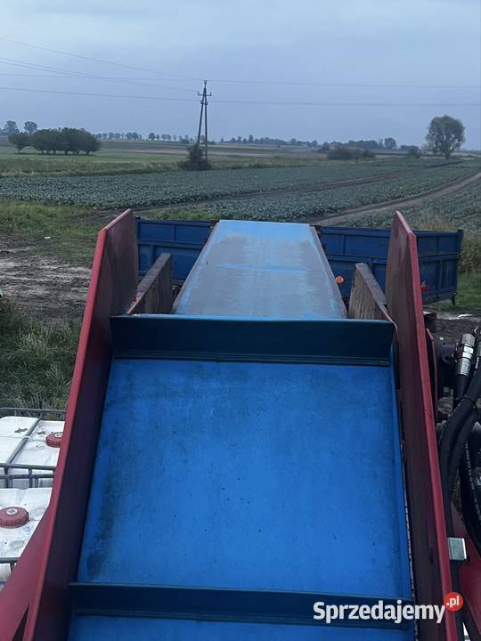 Taśma samolot do zbioru kalafiora cukinii sprzedam