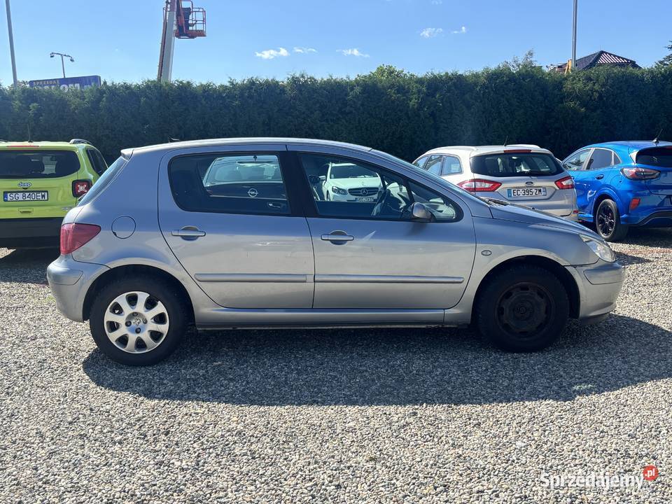 Peugeot 307 Paniówki