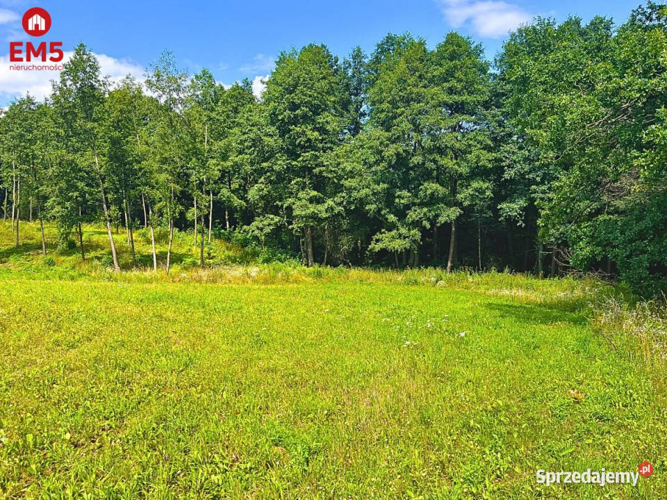 Działka 1130m2 Dąbrówno Nieruchomości