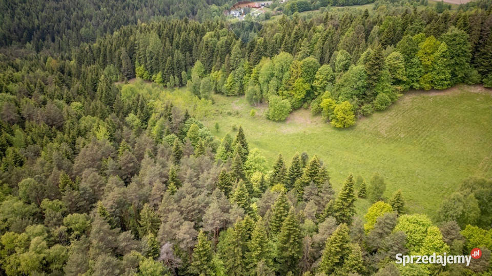Działka rolna w Krzeszowie Krzeszów sprzedam