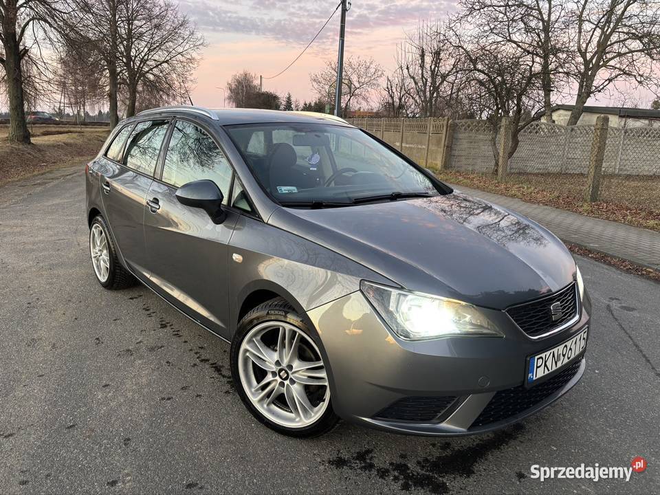 Seat Ibiza IV