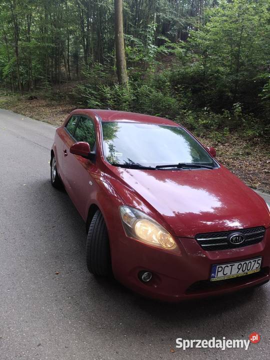 Sprzedam Kia Proced Rok produkcji 2008 Piła