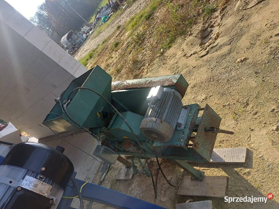 Gniotowniki ziarna Nirvana Skjold