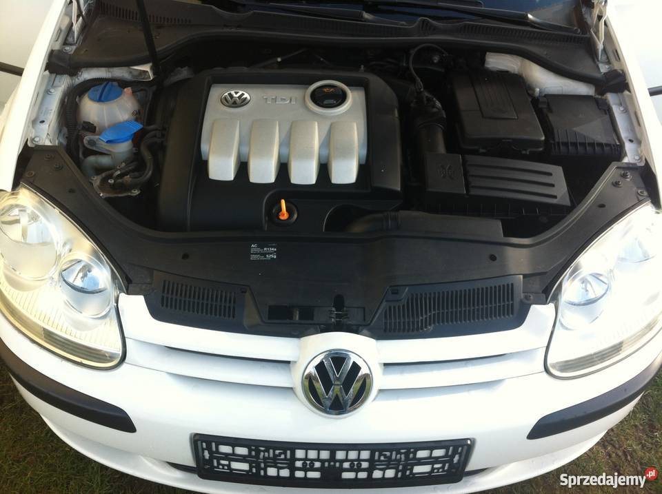 Volkswagen GOLF V 19 TDI 105 małopolskie Izdebnik sprzedam