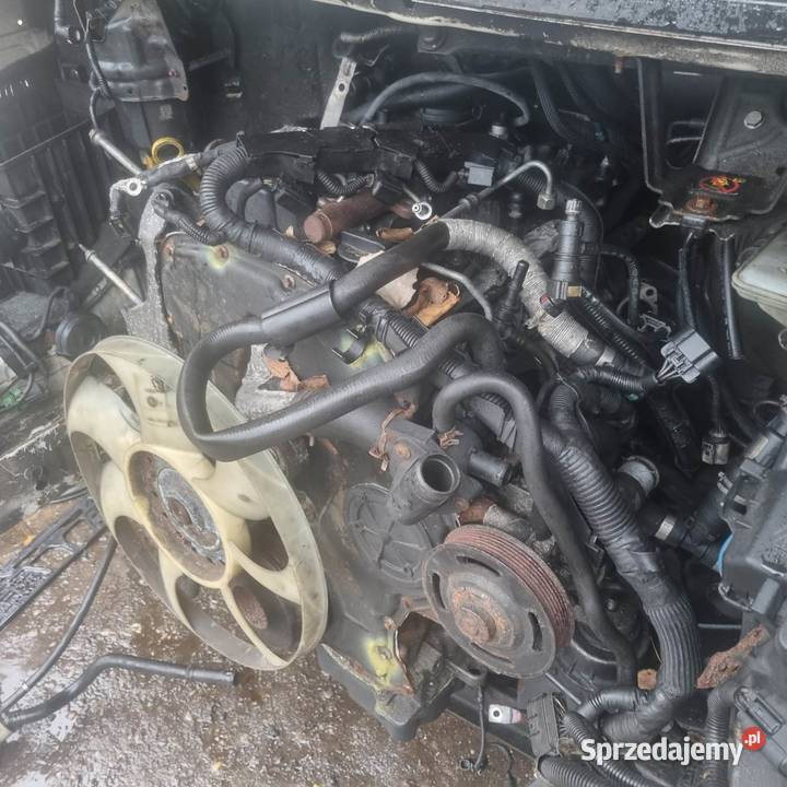 ford transit silnik euro 5 22tdci napęd tył zachodniopomorskie Wałcz sprzedam