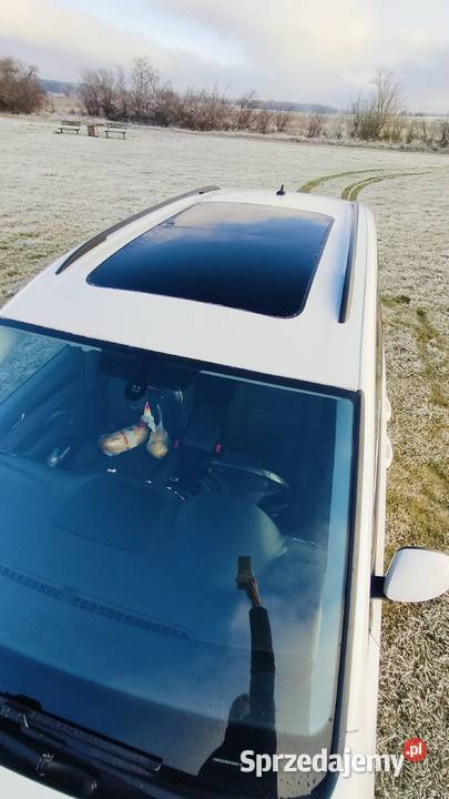 SEAT ALHAMBRA 20 TDI 140 diesel lubuskie Połęcko