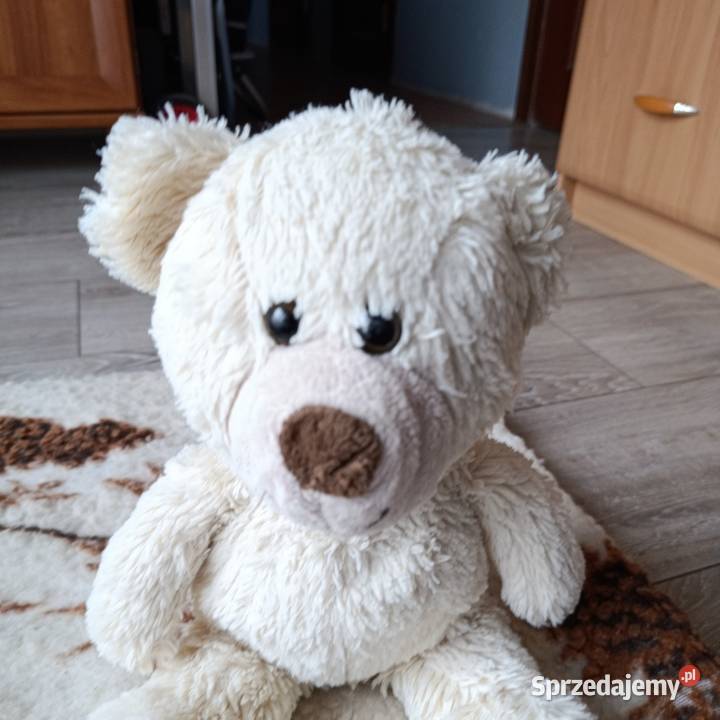 miś w odcieniu kremowym 40 Poznań
