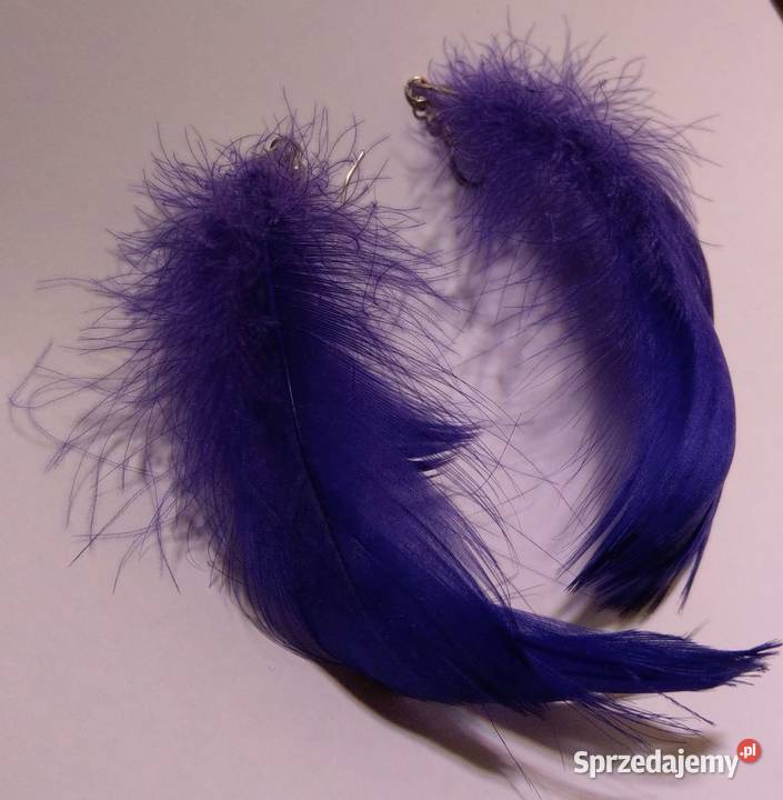 Fioletowe kolczyki pióra piórko pióro wysyłka mazowieckie