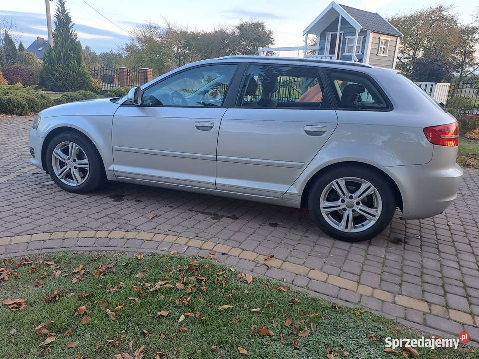 Audi a3 8p lift 20tdi Rok produkcji 2009 Niedrzwica Duża