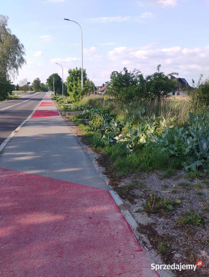 Sprzedam działkę budowlaną budowlana Bychawka Trzecia