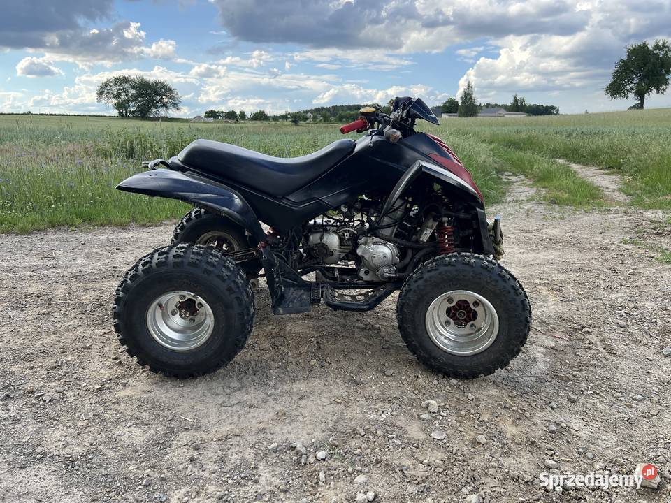 Sprzedam quada Dinli 300cc automat Lendo Ruskie