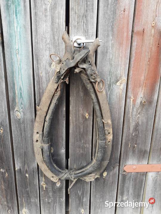 Zadbane chomąto krakowskie z podkładem Sułków