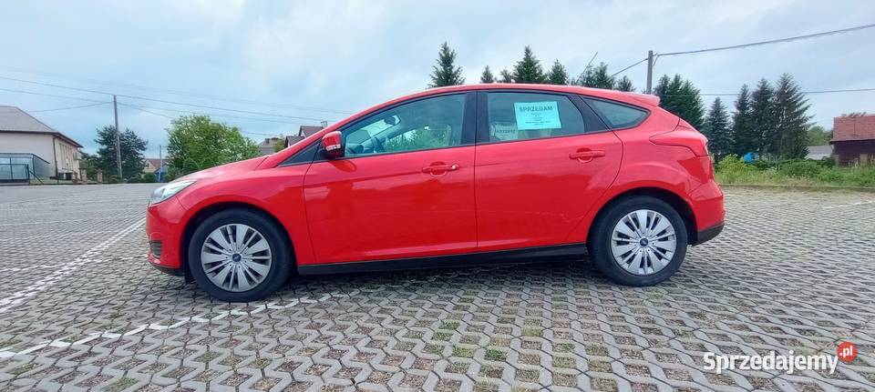 Ford Focus 16 B Trend podkarpackie Ocieka