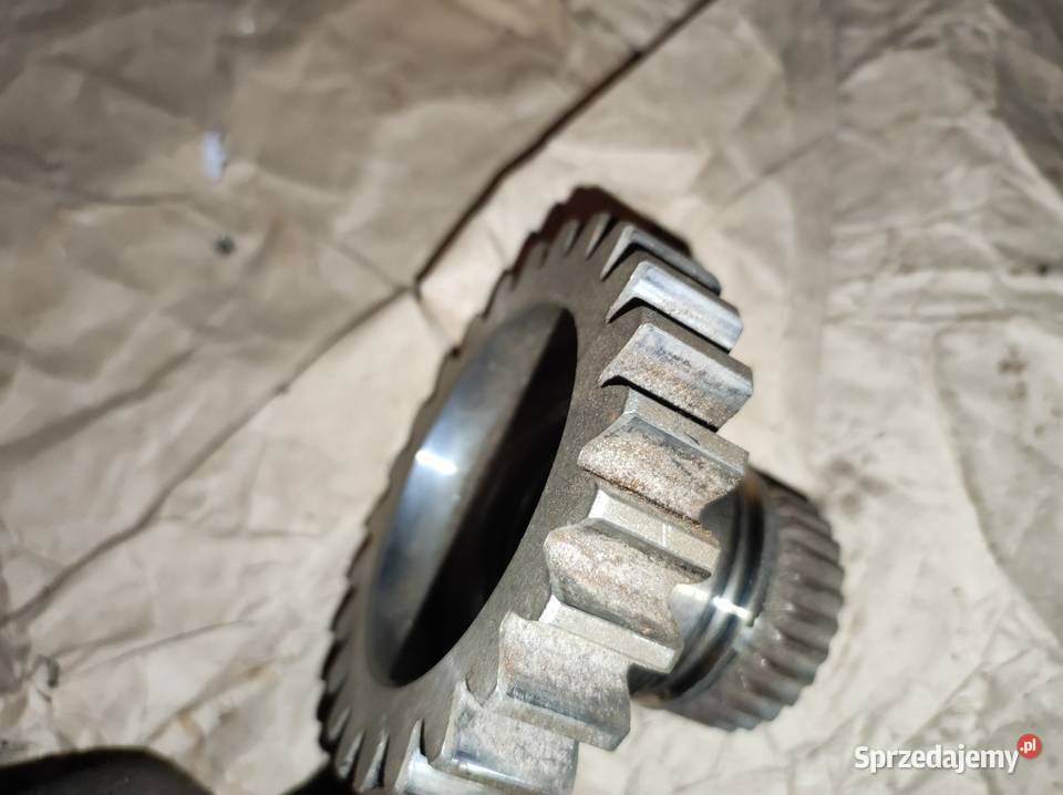 Zabierak napędowy Dniepr 1216 Leszno