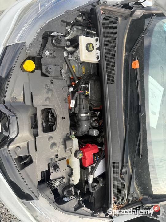 Renault zoe 2020 136KM wielkopolskie Krotoszyn