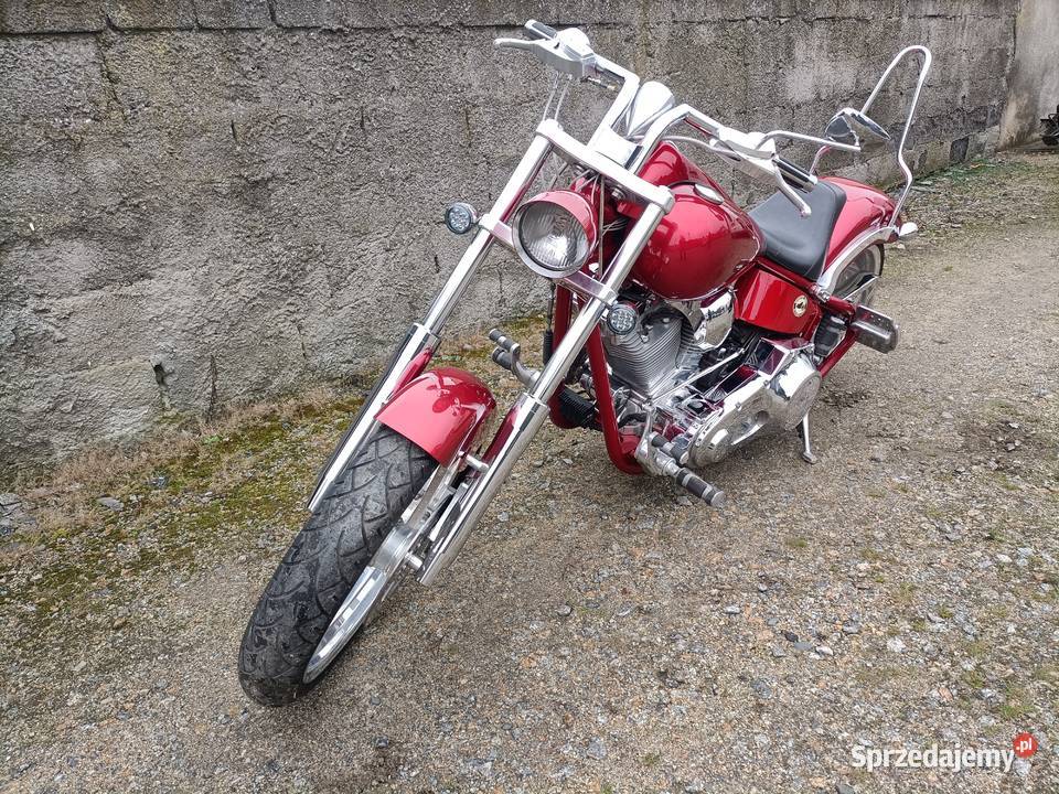 Big Dog Mastiff Harley wwwmotobazarprl pozostałe Padniewko