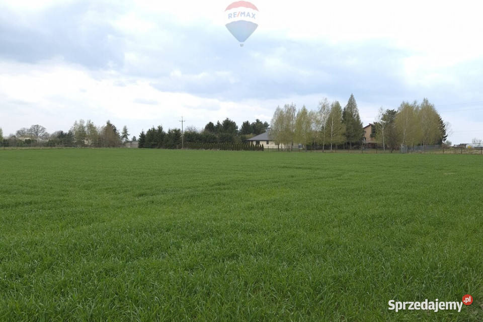 działka pod Płockiem Sprzedaż