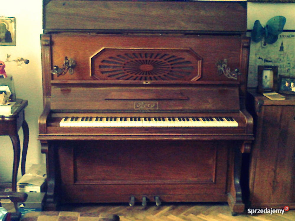 pianino Berg Jędrzejów