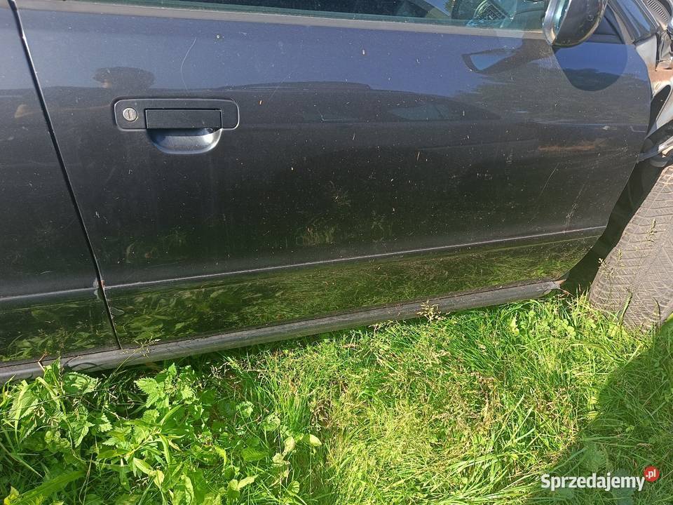 Drzwi Gołe Przód Prawy LZ9U Audi A4 B5 a22 osobowe Myszków