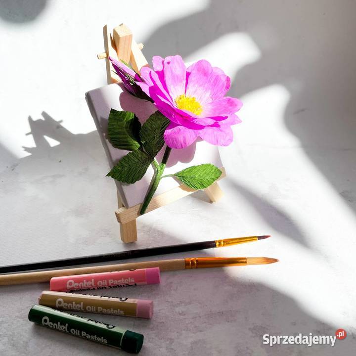 Kwiatek na sztaludze Zielona Góra