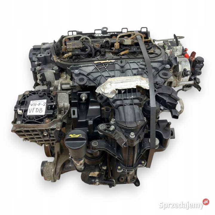 SILNIK UFDB Ford Focus III MK3 C C II 20 TDCI osobowe Silniki kompletne lubelskie Chełm