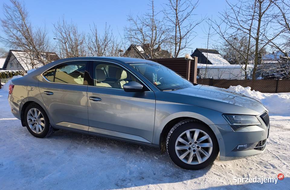 Polski salon skóry bogata wersja OC na DSG czujnik zmierzchu Gowino