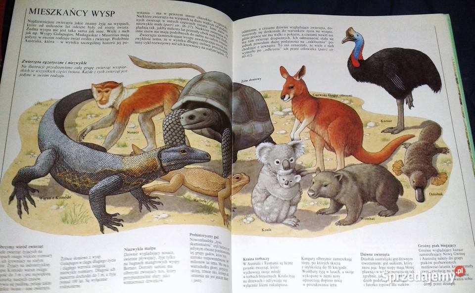 W świecie zwierząt John Feltwell