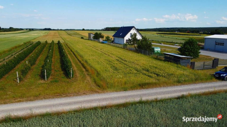 Borów Kol Duża działka z możliwością uzyskania Borów-Kolonia