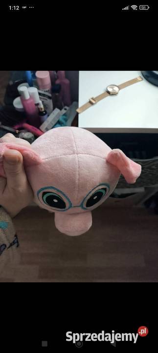 Świnka prosiaczek z biedronki Łódź