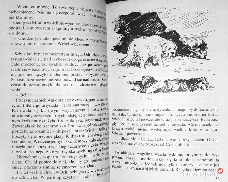 Bella i Sebastian Ccile Aubry miękka lubelskie Chełm