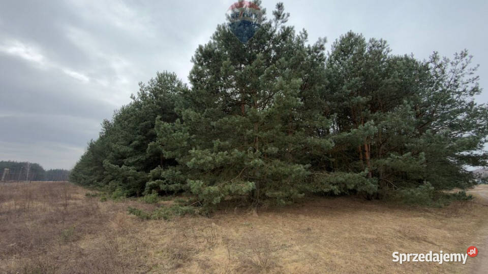 Michałów urokliwa działka budowlana 5500 m2
