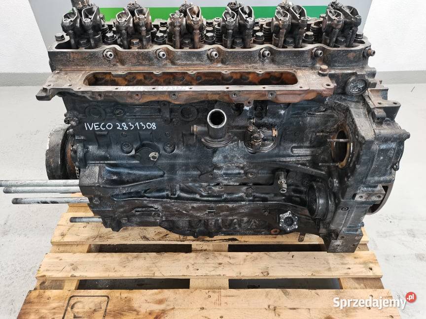 Silnik F4DFE6132 Case Maxxum 125 Wilkowo sprzedam