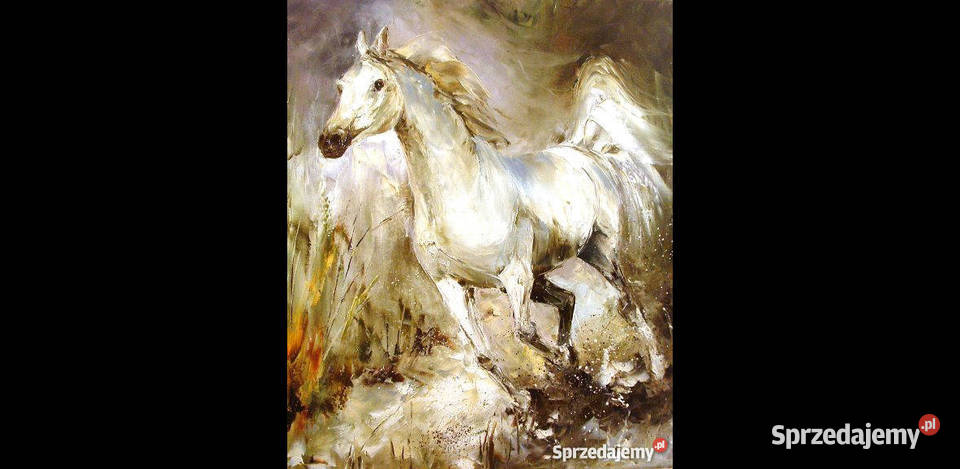Obraz olejny 60x70 koń mazowieckie Warszawa