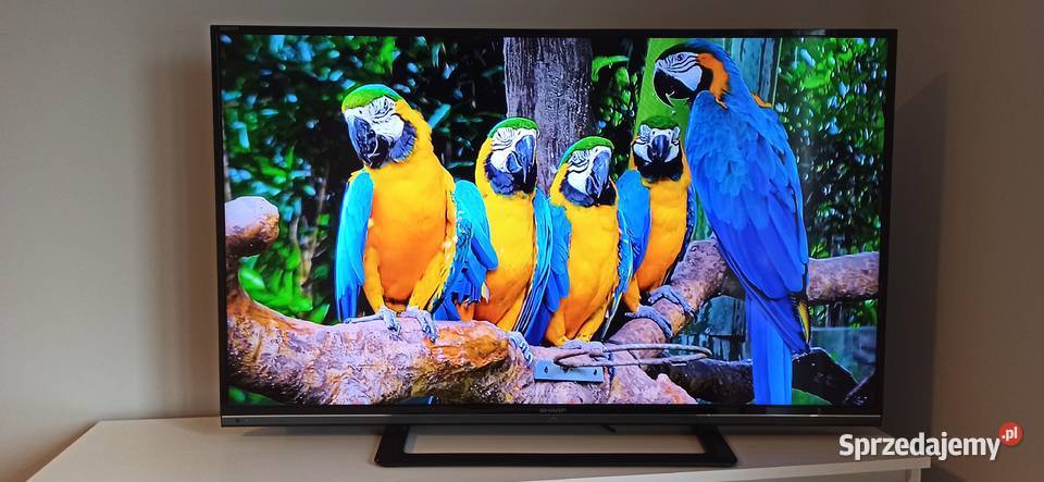 Telewizor TV Sharp 50" cali LCD duży
