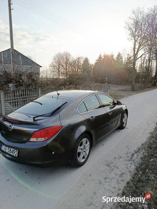 Opel Insignia Jędrzejów